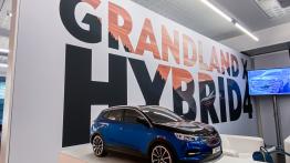 Opel Grandland X Hybrid 4 – koniec z marudzeniem