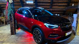 Opel Grandland X Hybrid 4 – koniec z marudzeniem