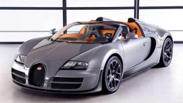 Bugatti Veyron Grand Sport Vitesse - bezlitosny Mohikanin