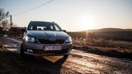 Skoda Fabia III Combi 1.0 MPI 75KM - galeria redakcyjna - widok z przodu