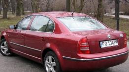 Skoda Superb 2.0 TDI Elegance  04.2006 - galeria redakcyjna - widok z tyłu