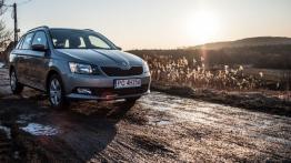 Skoda Fabia III Combi 1.0 MPI 75KM - galeria redakcyjna - widok z przodu