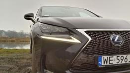 Lexus NX 300h 2.5 Hybrid 197 KM - galeria redakcyjna - prawy przedni reflektor - włączony