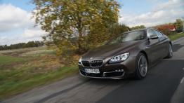 BMW Seria 6 F06 Gran Coupe 640d 313KM - galeria redakcyjna - widok z przodu