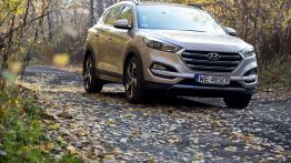 Hyundai Tucson 1.6 T-GDI 177 KM - galeria redakcyjna - widok z przodu