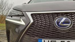 Lexus NX 300h 2.5 Hybrid 197 KM - galeria redakcyjna - grill