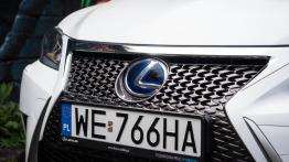 Lexus CT 200h Facelifting 136KM - galeria redakcyjna - grill