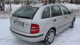 Skoda Fabia Combi 1.9 TDI Fresh+ - galeria redakcyjna - widok z tyłu