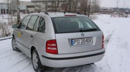 Skoda Fabia Combi 1.9 TDI Fresh+ - galeria redakcyjna - widok z tyłu