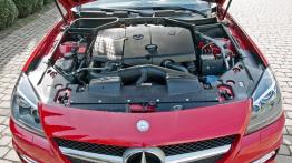 Mercedes SLK R172 Roadster 250 CDI BlueEFFICIENCY 204KM - galeria redakcyjna - maska otwarta