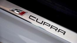 Seat Leon ST Cupra 280 - galeria redakcyjna - listwa progowa