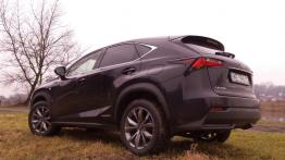 Lexus NX 300h 2.5 Hybrid 197 KM - galeria redakcyjna - widok z tyłu