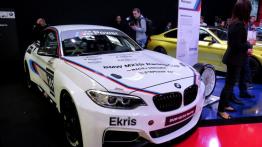 BMW na targach Poznań Motor Show 2015 - inne zdjęcie