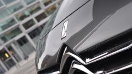 Citroen DS5 Hatchback 5d 2.0 HDi 163KM - galeria redakcyjna - logo