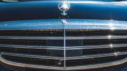 Mercedes-Benz Klasa E 220d (2016) - galeria redakcyjna - grill
