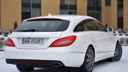 Mercedes CLS W218 Shooting Brake 350 CDI BlueEFFICIENCY 265KM - galeria redakcyjna - widok z tyłu