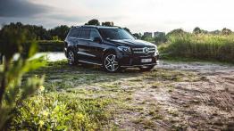 Mercedes GLS 500 - galeria redakcyjna