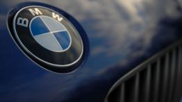 BMW Z4 E89 - logo