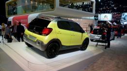 Paris Motor Show 2014 - auta studyjne