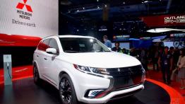 Paris Motor Show 2014 - auta studyjne