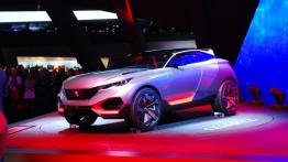 Paris Motor Show 2014 - auta studyjne