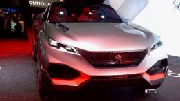 Paris Motor Show 2014 - auta studyjne