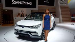 Paris Motor Show 2014 - auta studyjne