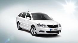 Skoda Octavia II GreenLine Kombi Facelifting - widok z przodu