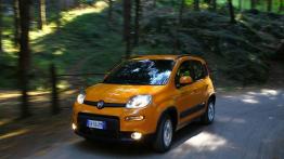 Fiat Panda III Trekking - widok z przodu