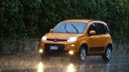 Fiat Panda III Trekking - widok z przodu