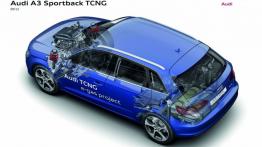 Audi A3 III Sportback TCNG - schemat konstrukcyjny auta