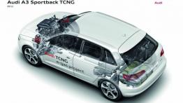 Audi A3 III Sportback TCNG - schemat konstrukcyjny auta