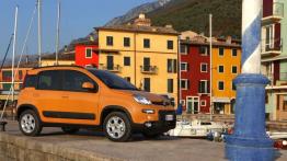 Fiat Panda III Trekking - prawy bok