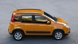 Fiat Panda III Trekking - widok z góry