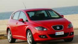 Seat Leon 2.0tfsi - widok z przodu