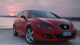 Seat Leon 2.0tfsi - widok z przodu