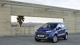 Ford EcoSport (2013) - wersja europejska - widok z przodu