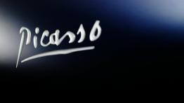 Citroen Xsara Picasso - emblemat boczny