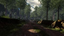 WRC 4: FIA World Rally Championship - recenzja gry PC