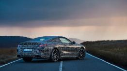 Walijskie testy BMW M850i xDrive Coupe