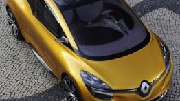 Renault R-Space Concept - dach