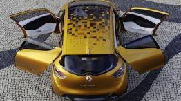 Renault R-Space Concept - dach