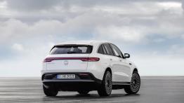 Mercedes-Benz EQC - widok z ty?u