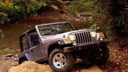 Jeep Wrangler - widok z przodu