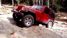 Jeep Wrangler - widok z przodu