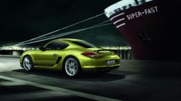 Porsche Cayman R - widok z tyłu