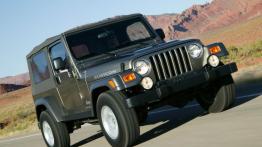 Jeep Wrangler - widok z przodu