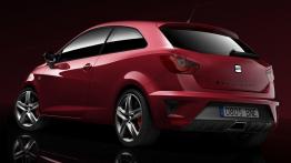 Seat Ibiza Bocanegra - widok z tyłu