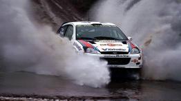 Ford Focus WRC - widok z przodu