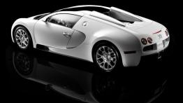 Bugatti Veyron Grand Sport - lewy bok